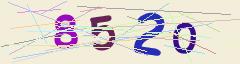 CAPTCHA validation image