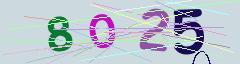 CAPTCHA validation image