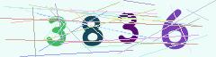 CAPTCHA validation image