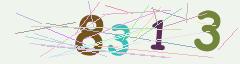CAPTCHA validation image