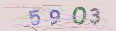 CAPTCHA validation image
