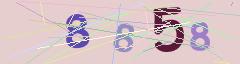 CAPTCHA validation image