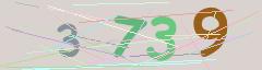 CAPTCHA validation image