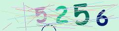 CAPTCHA validation image