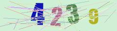 CAPTCHA validation image