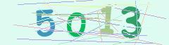 CAPTCHA validation image