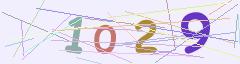 CAPTCHA validation image