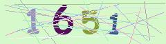 CAPTCHA validation image