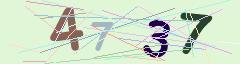 CAPTCHA validation image