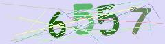 CAPTCHA validation image