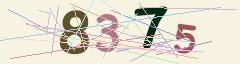 CAPTCHA validation image