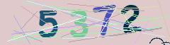 CAPTCHA validation image