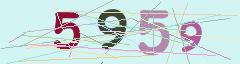 CAPTCHA validation image