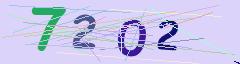 CAPTCHA validation image