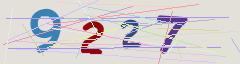 CAPTCHA validation image