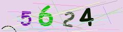 CAPTCHA validation image