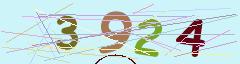 CAPTCHA validation image