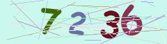 CAPTCHA validation image