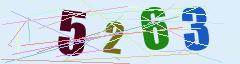 CAPTCHA validation image