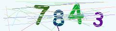 CAPTCHA validation image