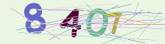 CAPTCHA validation image