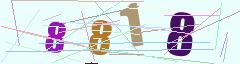 CAPTCHA validation image