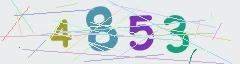 CAPTCHA validation image