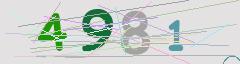 CAPTCHA validation image