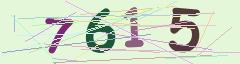 CAPTCHA validation image