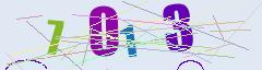 CAPTCHA validation image