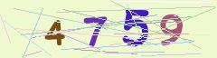 CAPTCHA validation image