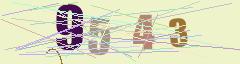 CAPTCHA validation image