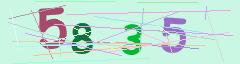 CAPTCHA validation image