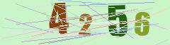 CAPTCHA validation image