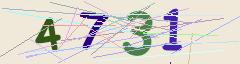 CAPTCHA validation image