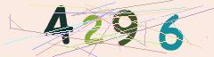 CAPTCHA validation image