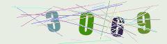CAPTCHA validation image