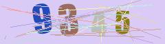 CAPTCHA validation image