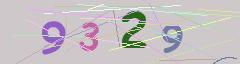 CAPTCHA validation image