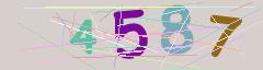 CAPTCHA validation image