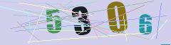 CAPTCHA validation image