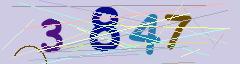 CAPTCHA validation image