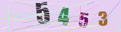 CAPTCHA validation image