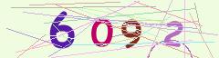 CAPTCHA validation image