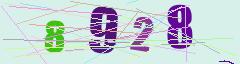 CAPTCHA validation image