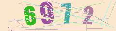 CAPTCHA validation image