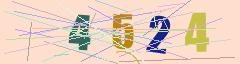 CAPTCHA validation image