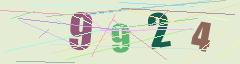 CAPTCHA validation image