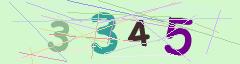 CAPTCHA validation image