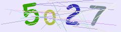 CAPTCHA validation image